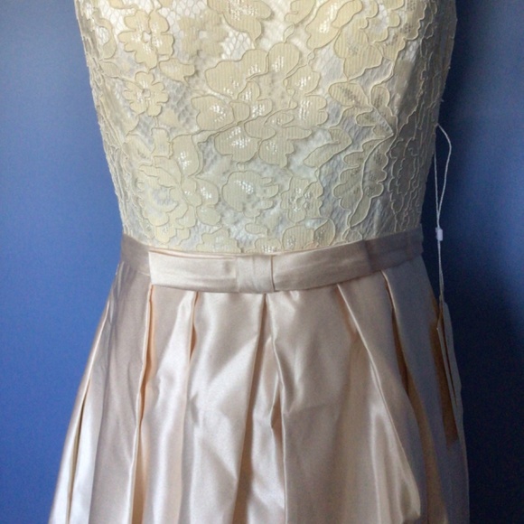 A Line Empire Waist Floor Length Satin Dress with Lace Bodice: the perfect 👗! - Picture 4 of 11